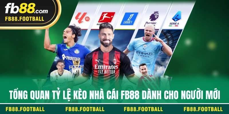 Tổng quan tỷ lệ kèo nhà cái FB88 dành cho người mới